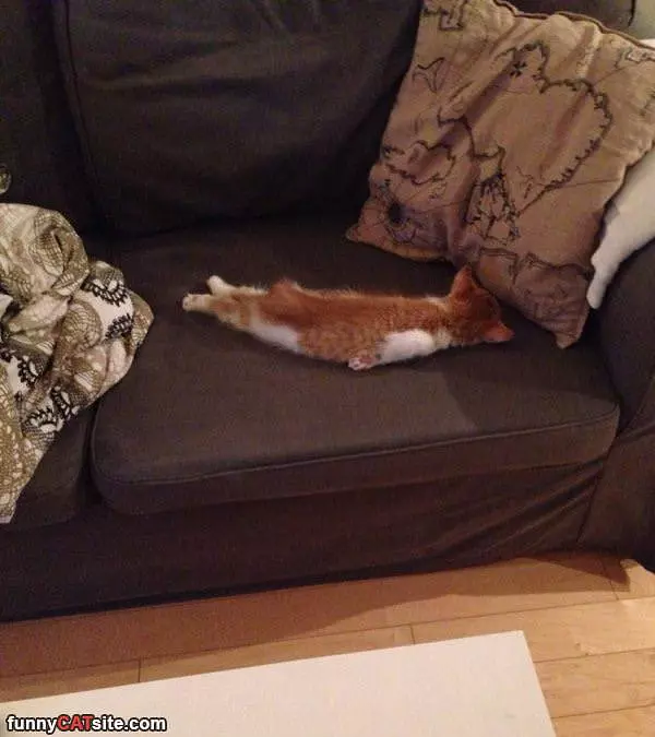 Sooooo Sleepy