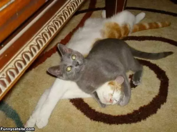 Sleeper Hold
