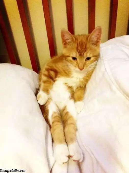 So Relaxed