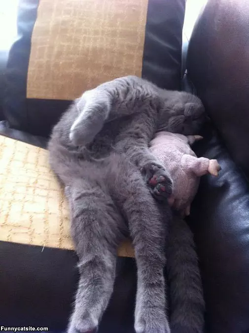 Great Place To Sleep