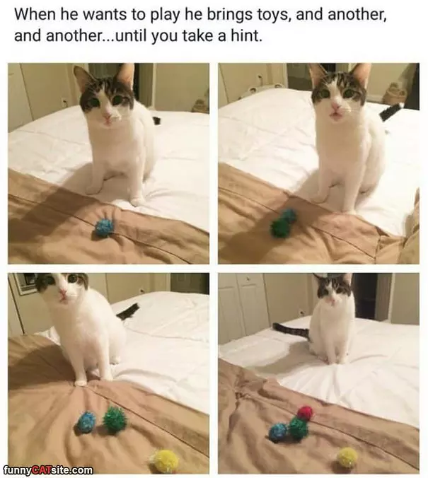 I Want To Play
