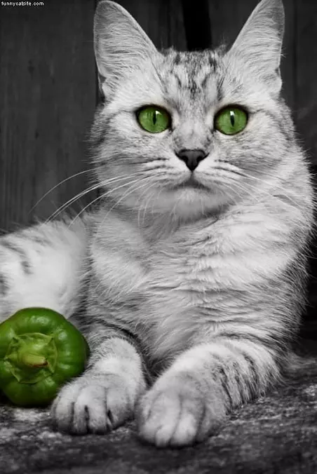 Green Eyes