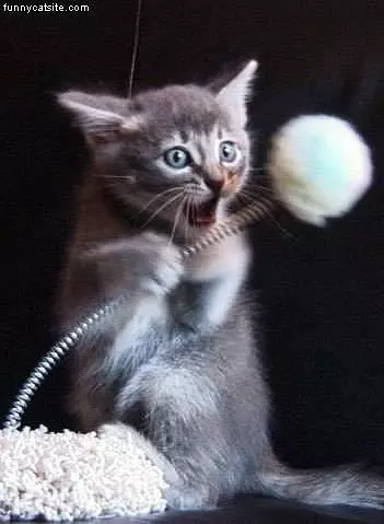 Fuzzy Ball