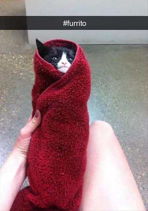 Furrito