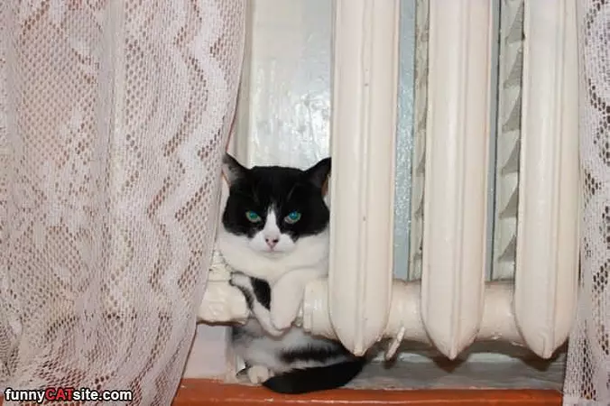 My Warm Spot
