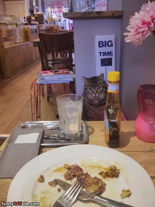 Dinner Time