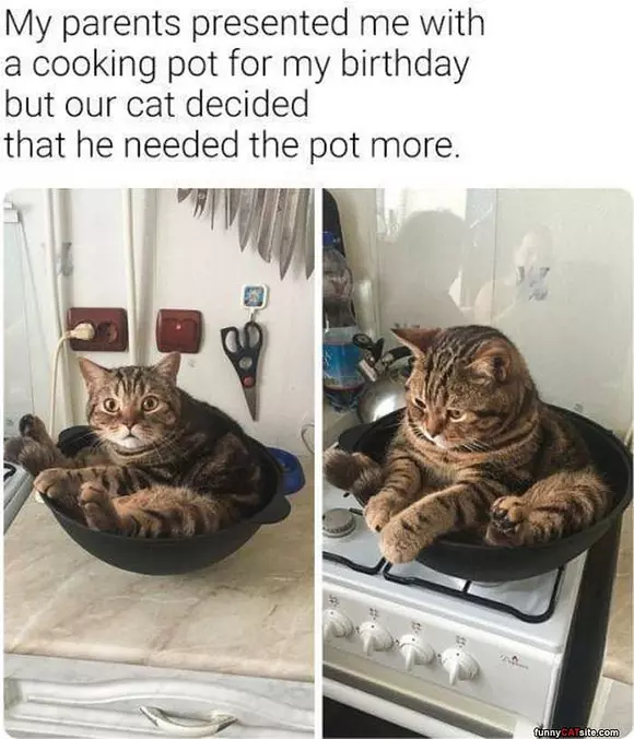 This Is My New Bed