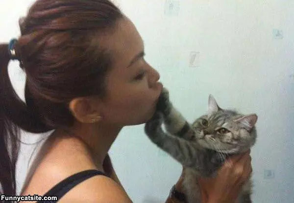 Shush It