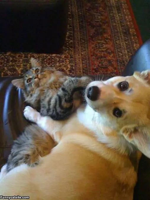 Forbidden Love