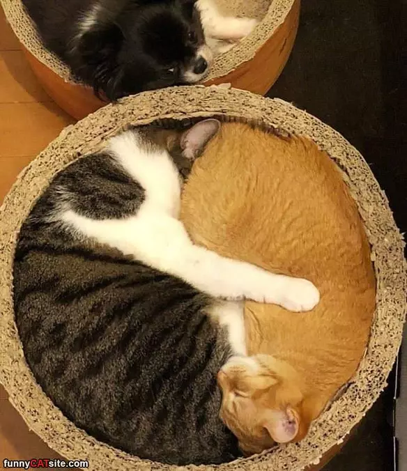 Tucked In There Warm