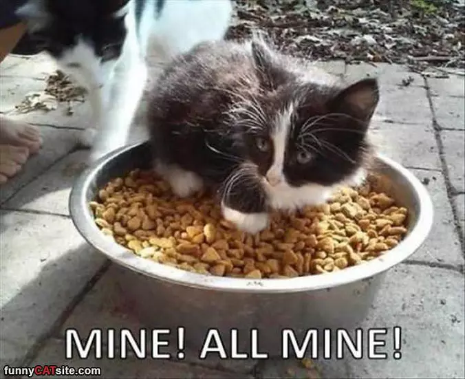 Mine All Mine