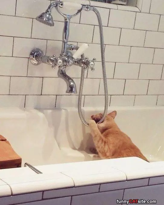 Turn This Water On