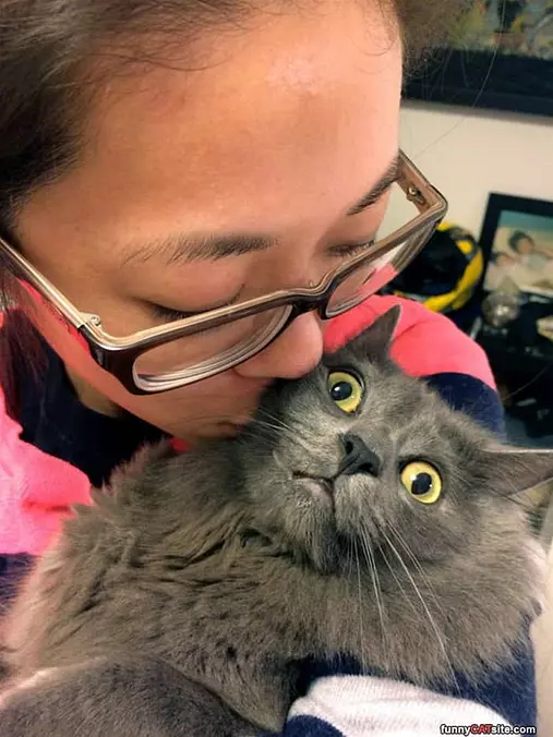 No More Kisses