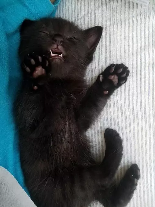 Soooooo Passed Out