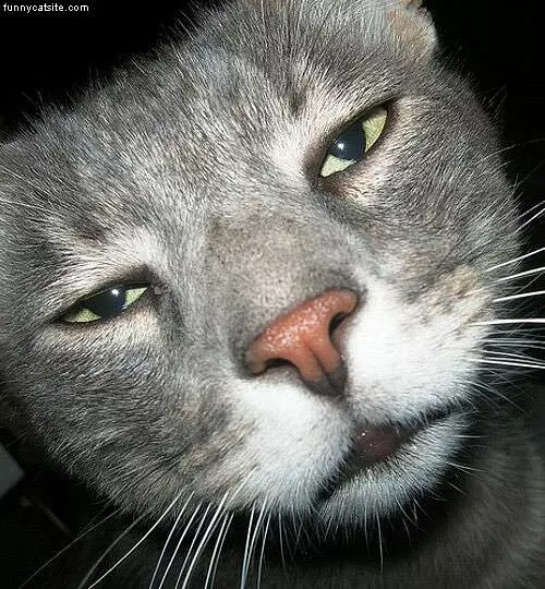 Extreme Closeup