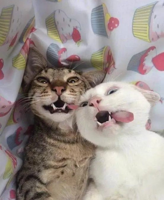 Just Posing For A Special Picture