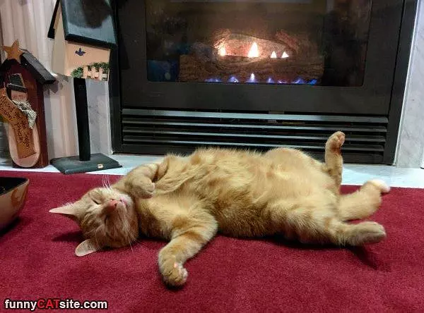 Laying On My Back