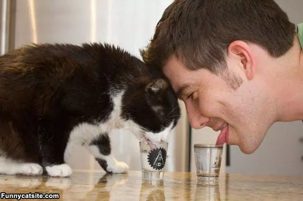 Drinking Together
