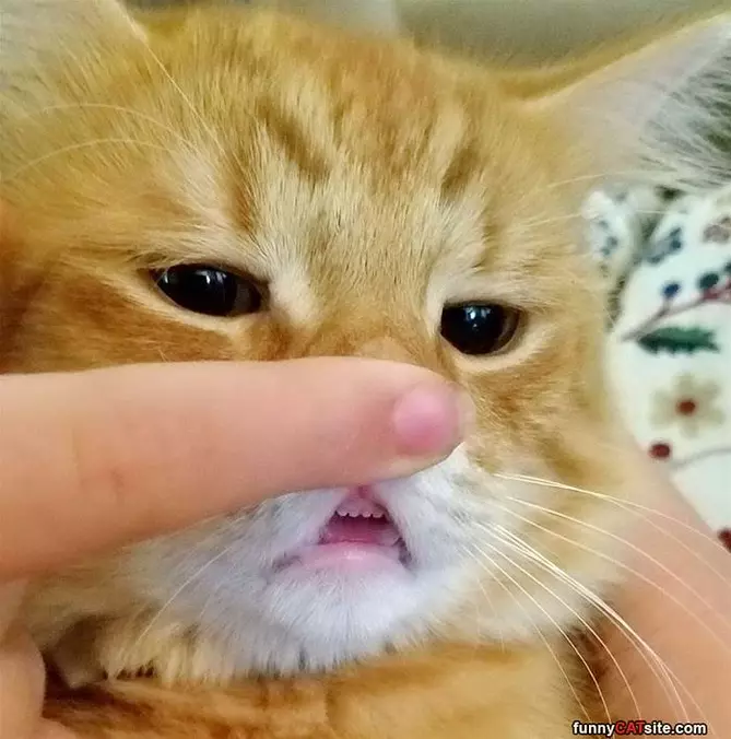 Nose Push