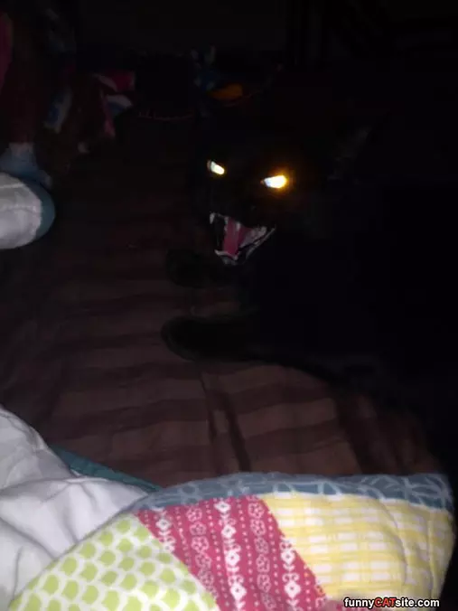Raww