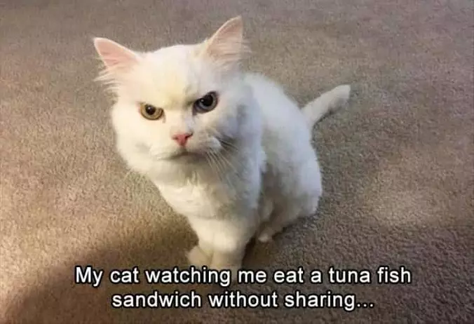 You Need To Learn To Begin Sharing