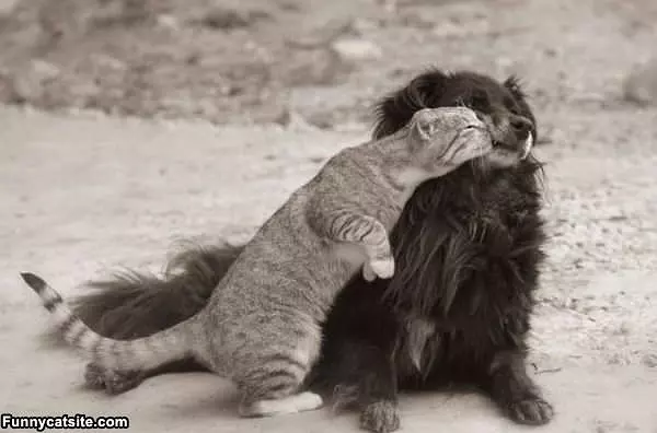 Hug Me