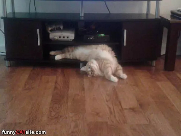 Yoga Sleeping
