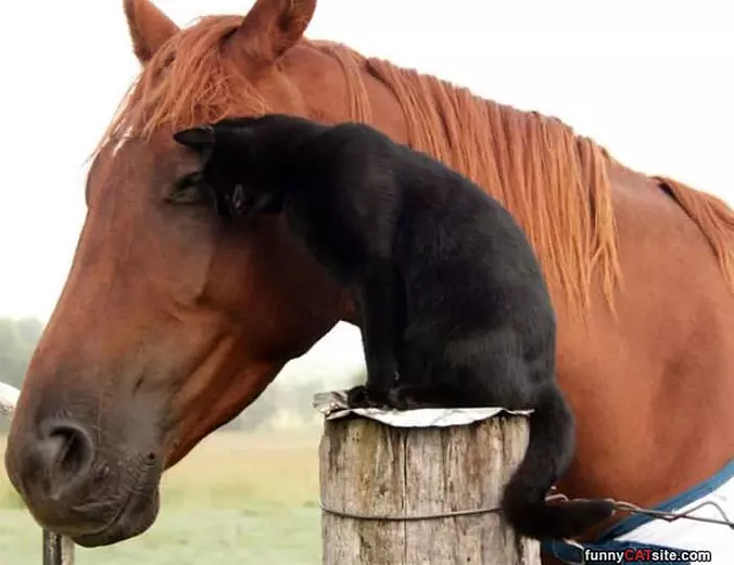 Hug Me