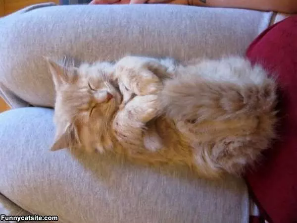 So Comfy Right Now