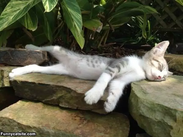 Me Relaxing Here