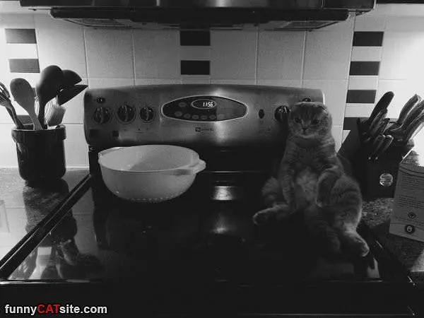 Sitting On The Stove