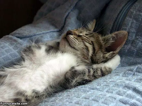 Just Relaxing