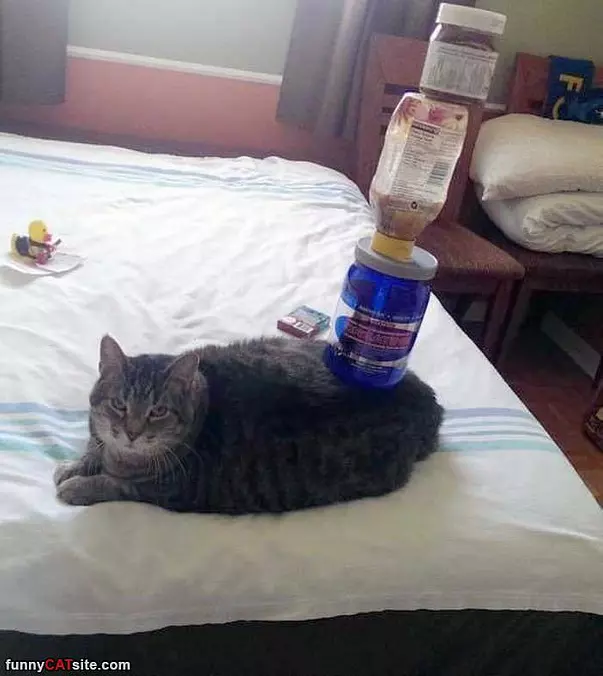 Doing Some Stacking
