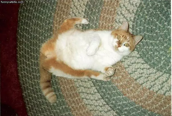 I Fell Over