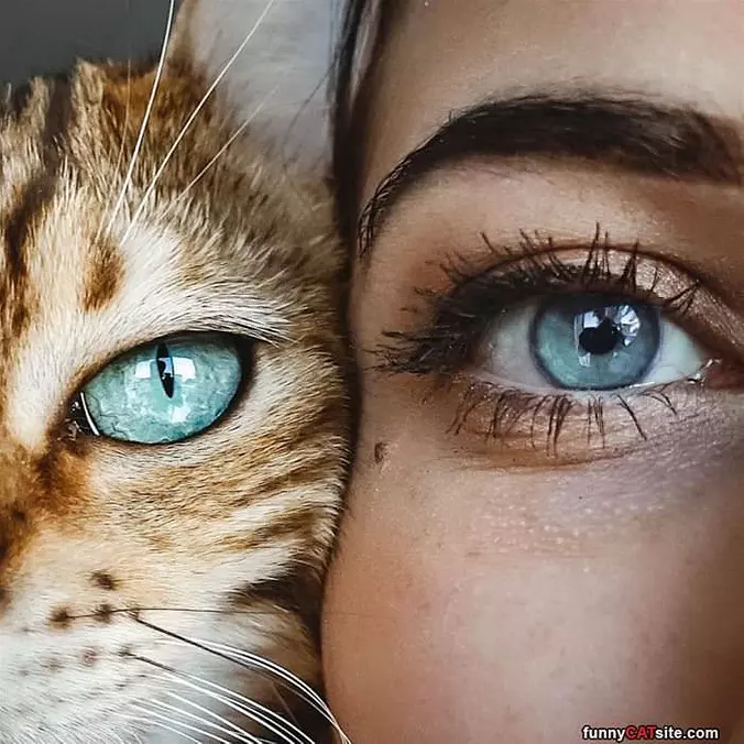 Blue Eyes