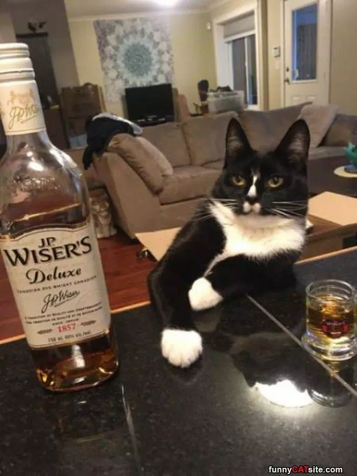 Whiskers Whisky