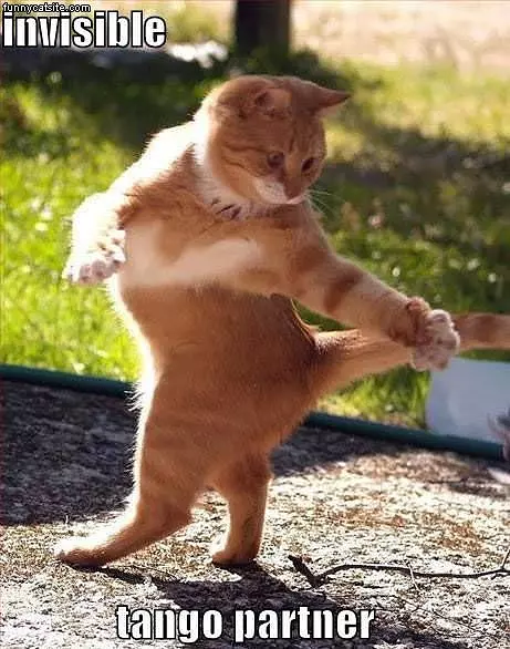 Invisible Tango