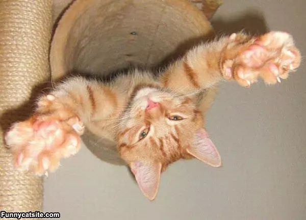 I Want Hugs