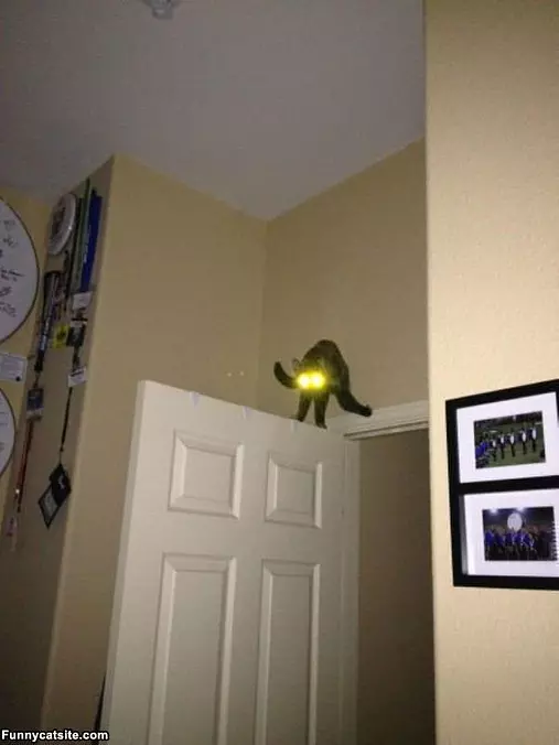 Lasers Fully Charged