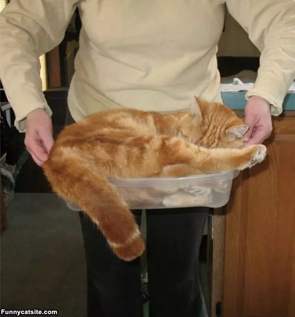 Best Served Warm