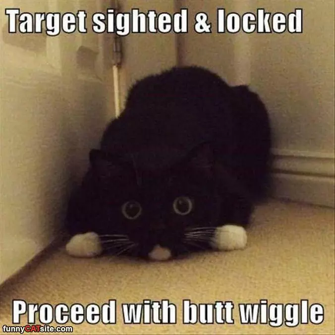 Proceed With Wiggle