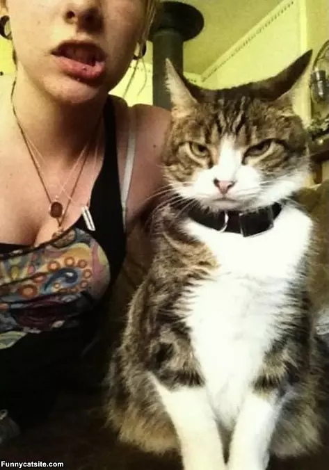 Not Impressed Cat