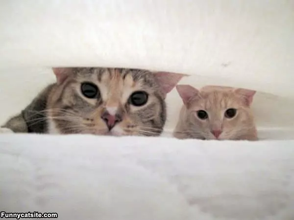 Hiding Spot