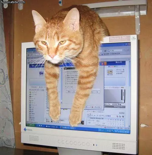 No More Computer Today