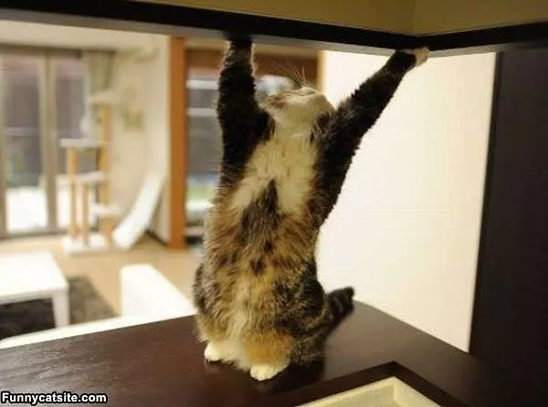 Doing My Stretches
