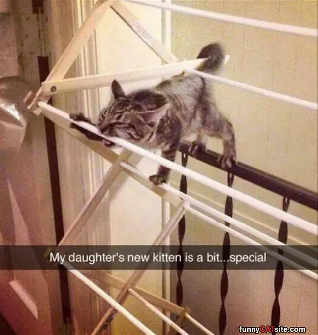 A Bit Special