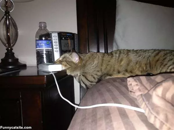 I Dont Want To Wake Up Now