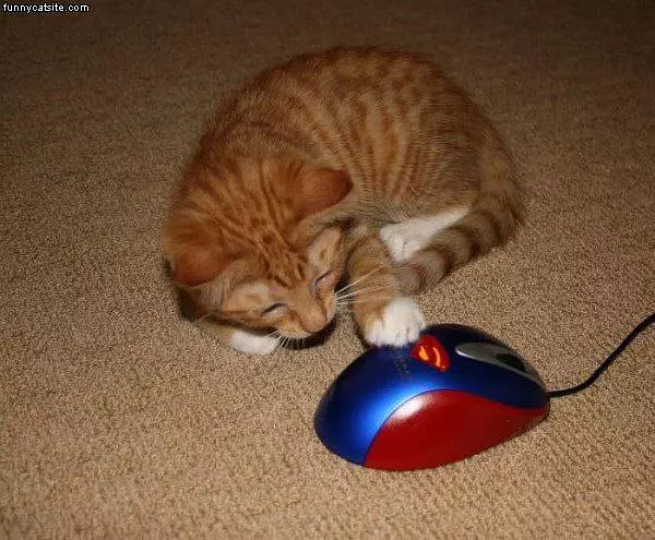 Super Mouse