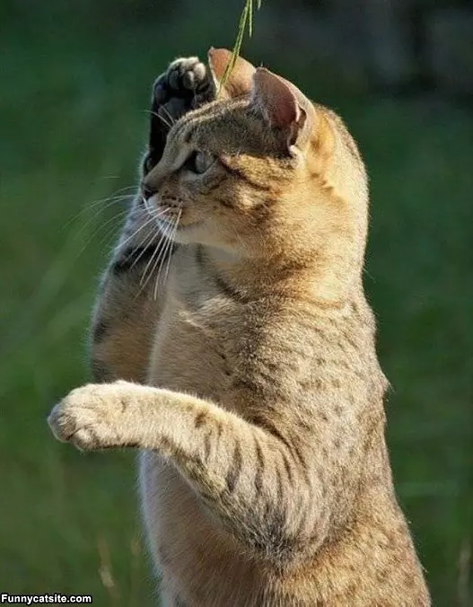 Blocking The Sun