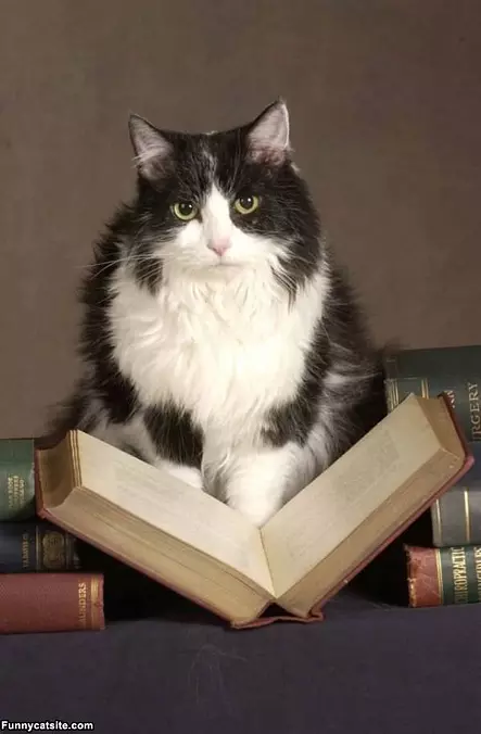 Reading Some Books